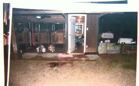 maggie murdaugh autopsy pictures|Murdaugh Murders: Crime Scene Photos Shown in。